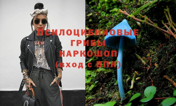 apvp Арсеньев